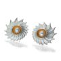 Picture of Shell Pearl Stud Earrings
