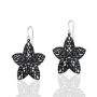 Picture of Star Earrings