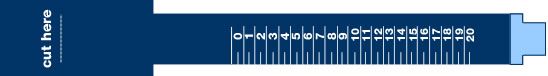 Visual Ring Size Chart by Circumference